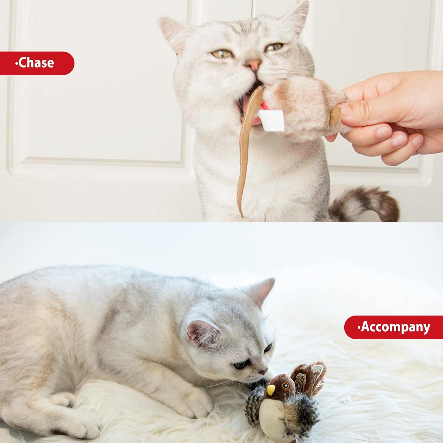 Chirping Bird Cat Toy Set - Interactive Motion-Activated Feather Toys for Indoor Cats, Perfect for Kittens and All Breeds!