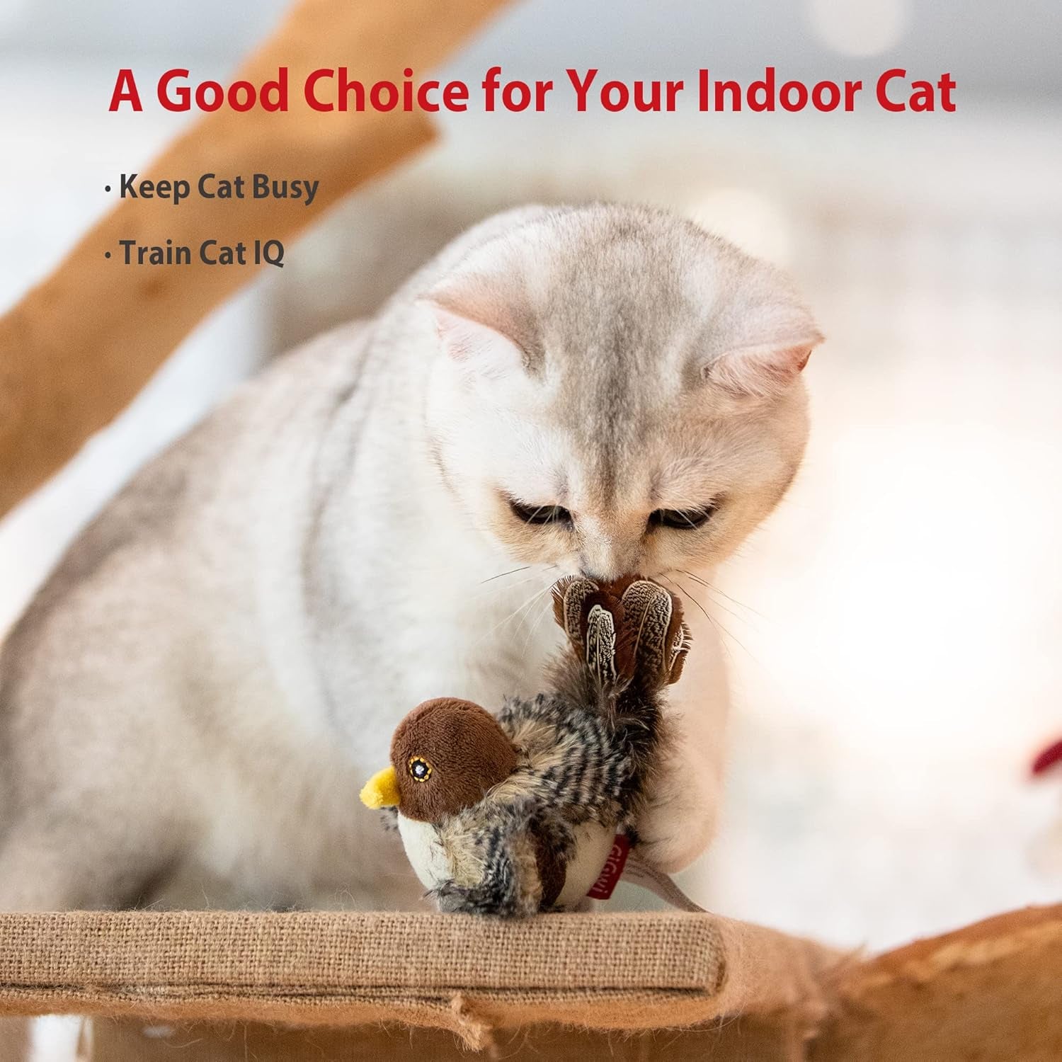 Chirping Bird Cat Toy Set - Interactive Motion-Activated Feather Toys for Indoor Cats, Perfect for Kittens and All Breeds!