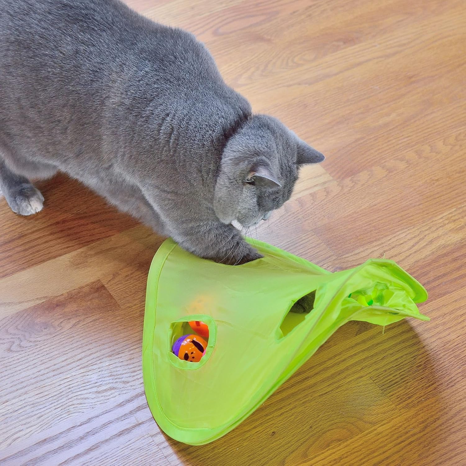 18-Piece Cat Toy Assortment - Interactive Teaser Wand, Bell Toys, Sparkle Balls & Hide and Seek Fun for Kittens and Puppies!